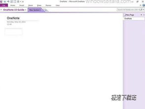 软件资讯与软件咨询 数字化浪潮中的双引擎