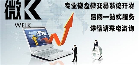 专业微交易系统开发公司,游戏版微交易软件开发哪家好